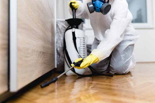 Best Best Pest Control Companies  in Odessa, FL