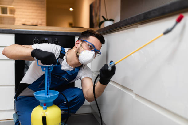 Best Commercial Pest Control Services  in Odessa, FL