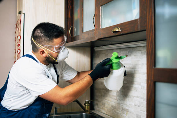 Best Exterminator Services  in Odessa, FL