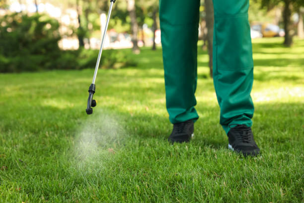 Best Cockroach Control Services  in Odessa, FL
