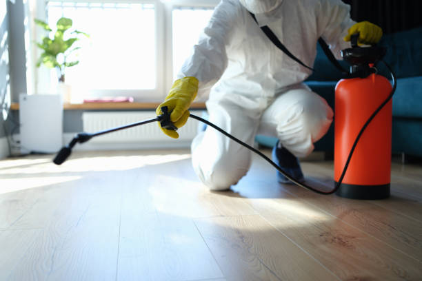 Best Flea Control Services  in Odessa, FL