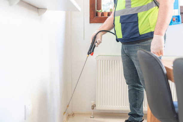 Best Termite Control Services  in Odessa, FL