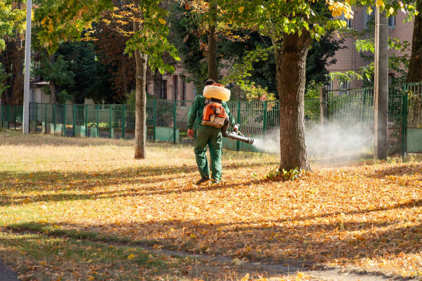 Best Bed Bug Extermination  in Odessa, FL