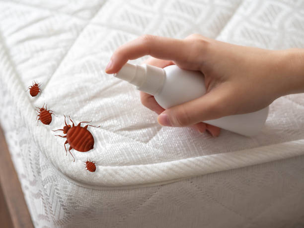 Best Pest Control Near Me  in Odessa, FL