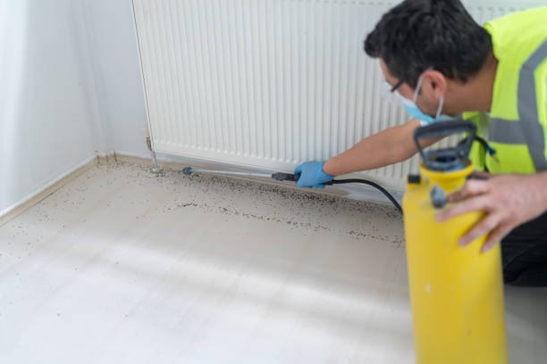 Best Termite Control Services  in Odessa, FL